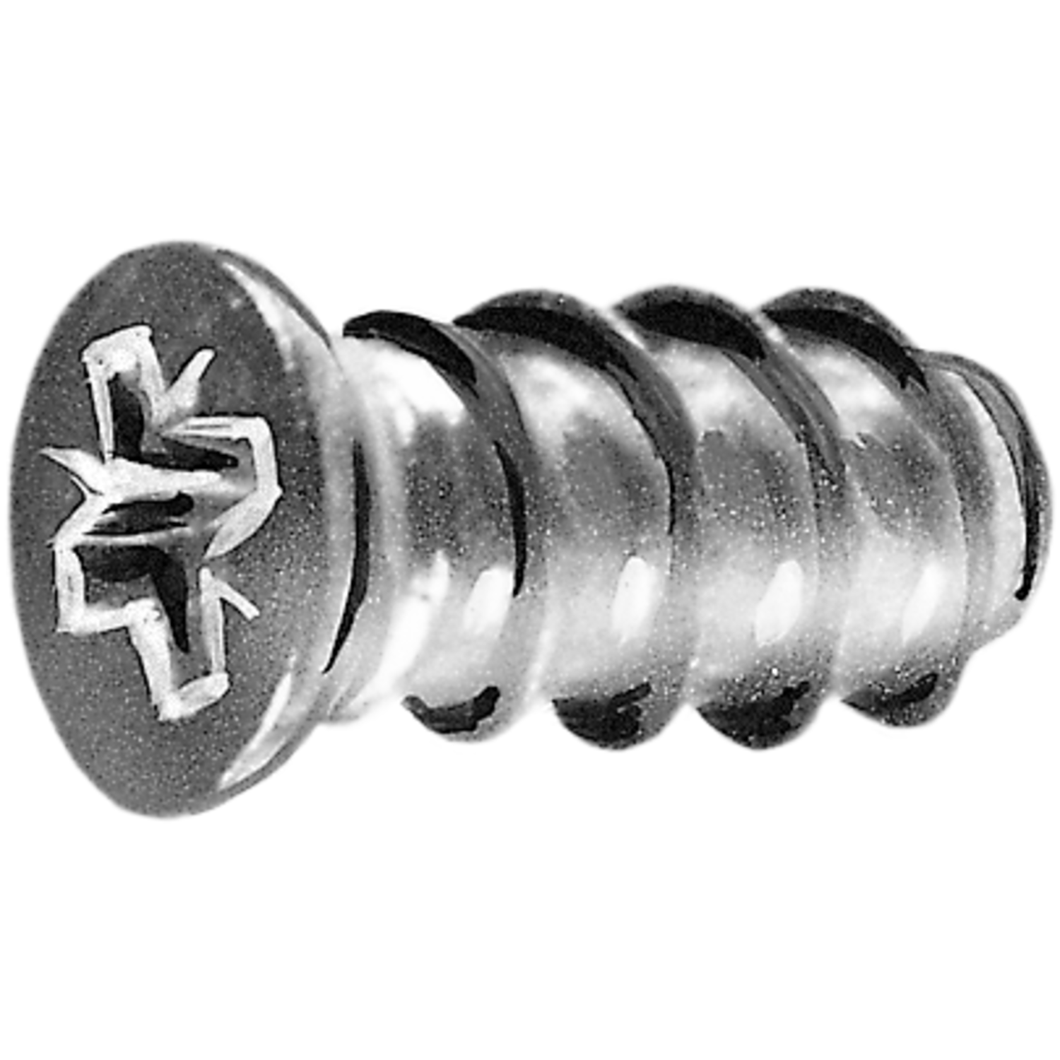 Euro schroef 6,3 x 19mm PK Pozidrive